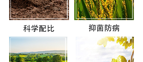 �׷����־���-�۟o(w��)ۙ-�T�_(d��)_07