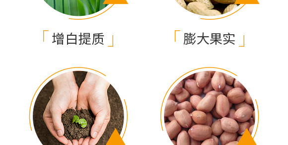 �����ٻ���ᘷ�辄�-��ؔ(c��i)-�G������_06