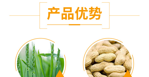 �����ٻ���ᘷ�辄�-��ؔ(c��i)-�G������_05