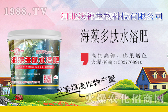  作物長(zhǎng)勢(shì)好不好，根系管理很重要！“海藻多肽水溶肥”開(kāi)啟作物生根時(shí)代！