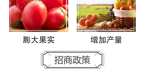 ��(x��)��������-���S���@_06