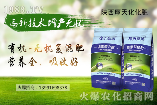 ���؃r���Нq�е����Ј���Ͷ�Շ��D(zhu��n)�������ո��؅^(q��)���؃r�����飡