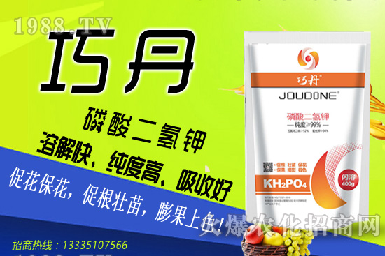 茄子需肥特性有哪些，夏季茄子高產管理技巧！