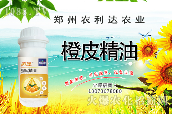 橙皮精油您了解多少？橙皮精油有什么作用？怎么選橙皮精油？