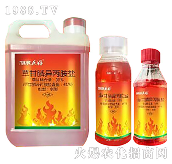 �s���y���������͏����ò�@�׿���ݮa(ch��n)Ʒ���_�����^��