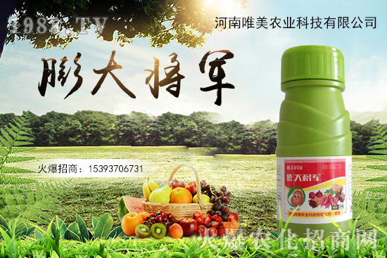 果實(shí)膨果慢、果實(shí)小怎么解決？果實(shí)膨果肥的選擇有哪些？