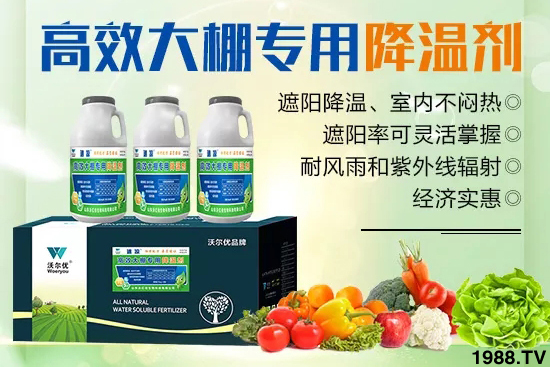 高溫對(duì)黃瓜有什么危害？大棚黃瓜降溫措施怎么做？