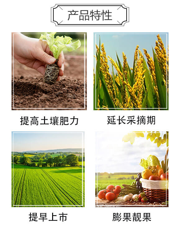 高磷高鉀型大量元素水溶肥料0-450-600+TE-金順手-阿姆達_03