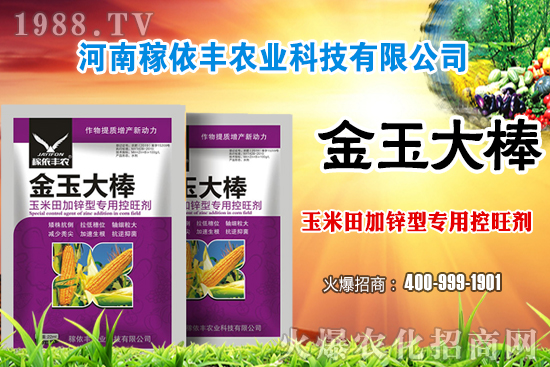 �����Ј�(ch��ng)ƽ��(w��n)�\(y��n)�О�������(g��)�e�؅^(q��)��С���q�������ո��؅^(q��)���؈�(b��o)�r(ji��)��