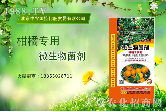 柑橘怎么施肥？施什么肥？柑橘專用肥有哪些？