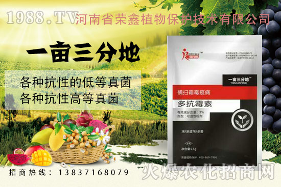 白粉、繡病、霜霉病害真難打？防治藥劑有哪些？殺菌產(chǎn)品匯總！