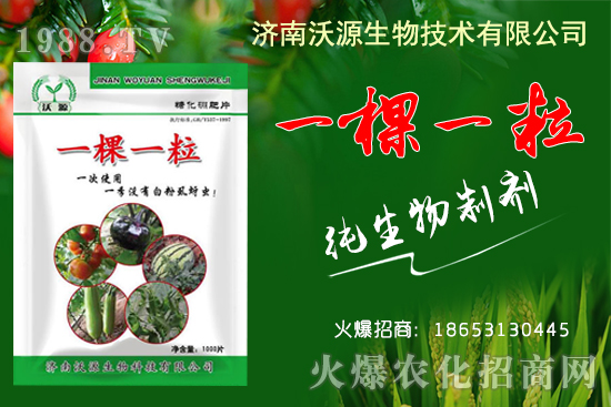     蚜蟲、白粉虱、薊馬怎么防？沃源生物“一棵一?！睔⒊x卵，藥效！