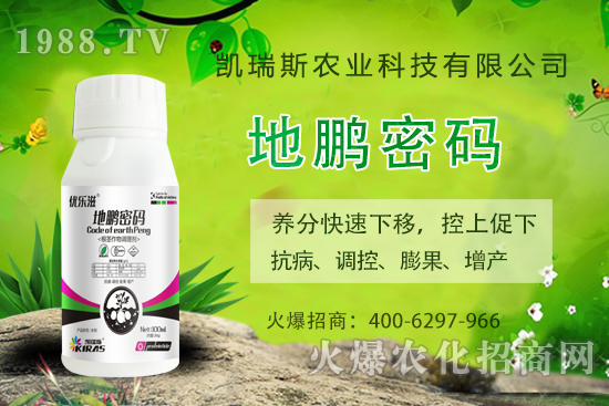 �P��˹�r(n��ng)�I(y��)��ô�����P��˹�r(n��ng)�I(y��)����a(ch��n)Ʒ����Щ��