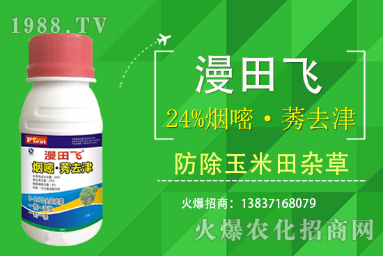 24%煙嘧·莠去津除草效果好嗎？24%煙嘧·莠去津有什么特點？