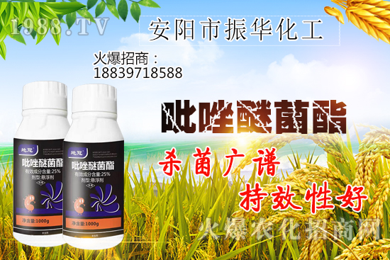 黃瓜白粉病危害有哪些，黃瓜白粉病怎么治？該打什么農(nóng)藥？