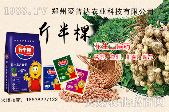 花生三遍藥什么時(shí)期使用？花生三遍藥有哪些作用？