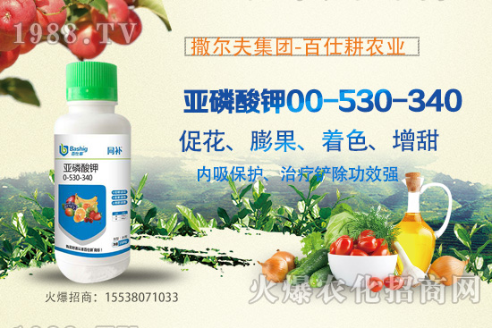 營養(yǎng)控梢，預(yù)防潰瘍！亞磷酸鉀真的這么牛嗎？亞磷酸鉀作用原理！