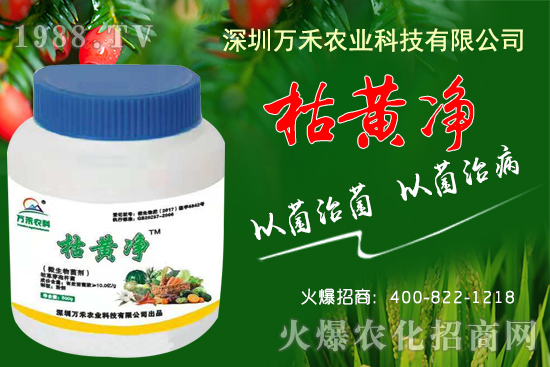 枯黃凈能防治哪些病害？枯黃凈適用作物及使用方法！