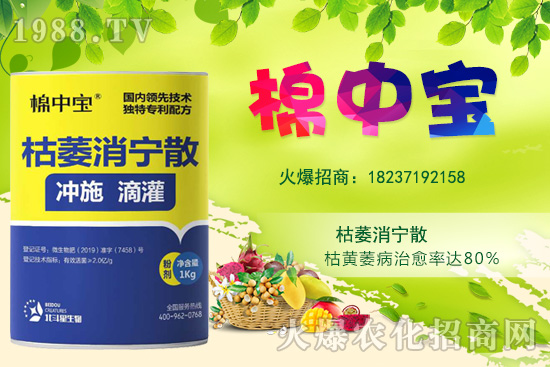 【品牌推薦】河南北斗星有什么優(yōu)勢？北斗星旗下產(chǎn)品有哪些？