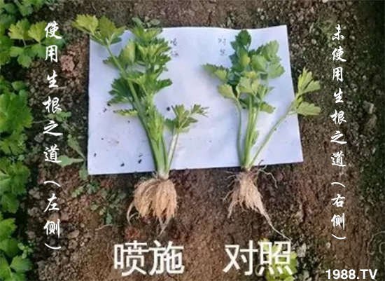 �����ϵ�����a(ch��n)���ͣ�������֮���������¸����������a(ch��n)�o�n��