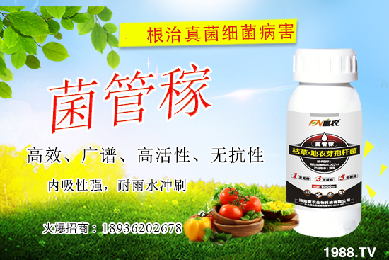 ���䝢��Σ����ʲô�����䝢�������Ά�������ˎ������Щ��