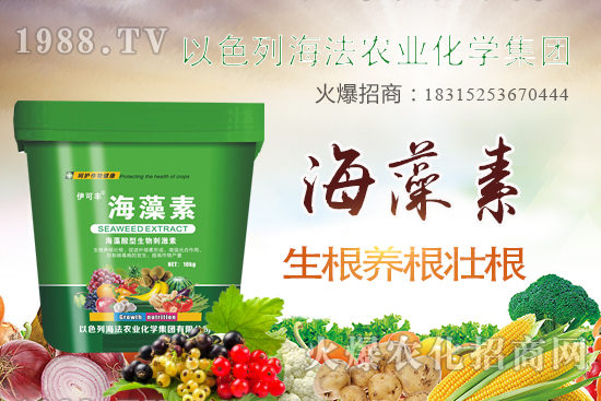 海法農(nóng)業(yè)為啥這么牛？海法農(nóng)業(yè)生產(chǎn)特色是什么？主打哪些產(chǎn)品？