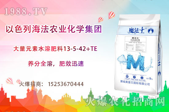 海法農(nóng)業(yè)為啥這么牛？海法農(nóng)業(yè)生產(chǎn)特色是什么？主打哪些產(chǎn)品？