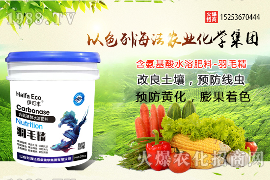 海法農(nóng)業(yè)為啥這么牛？海法農(nóng)業(yè)生產(chǎn)特色是什么？主打哪些產(chǎn)品？