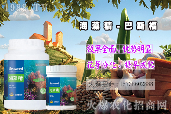  還不了解海藻精是啥？那你就真的out了！海藻精作用有多大？