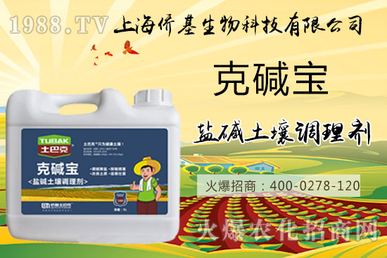 土壤鹽堿危害大，“克堿寶”消除鹽堿，還您一片沃土！