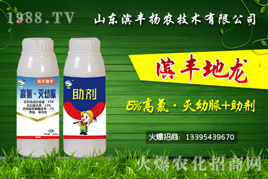 黑頭蛆、地蛆、根蛆如何有效防治？“15%高氯·滅幼脲+助劑”殺蛆雙保險(xiǎn)！	