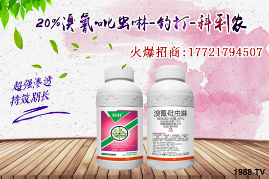 今年蚜蟲(chóng)爆發(fā)太厲害！蚜蟲(chóng)怎么打效果好？蚜蟲(chóng)防治方法有哪些？