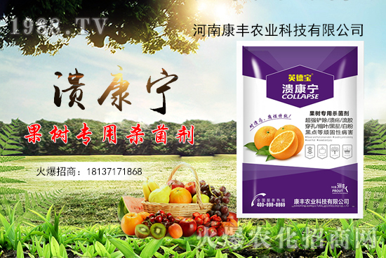 柑橘潰瘍病又到高發(fā)期，康豐農(nóng)業(yè)“潰康寧”防治效果怎么樣？