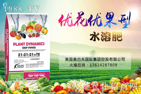 果實(shí)果小、不膨果？不妨試試“優(yōu)花優(yōu)果型水溶肥”，著色美果又增甜！
