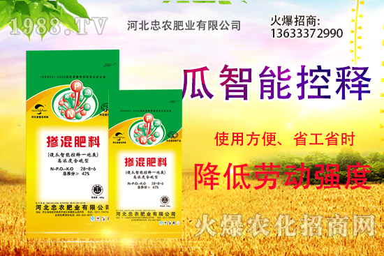 �������������Щ������ʵ�ʹ�÷�����ԓ����xُ��