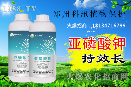 亞磷酸鉀功效及殺菌機(jī)理有哪些，亞磷酸鉀你用的合理嗎？