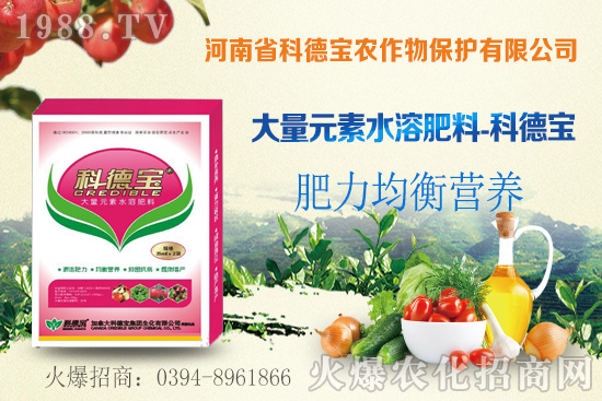 玉米空稈危害大，什么原因造成的？玉米空稈防控措施！