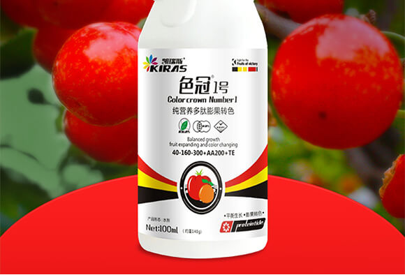 ���I�B(y��ng)��������D(zhu��n)ɫ-ɫ��1̖-�P��˹_02