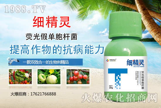 細菌性病害危害癥狀有哪些？細菌性病害防治藥劑推薦！