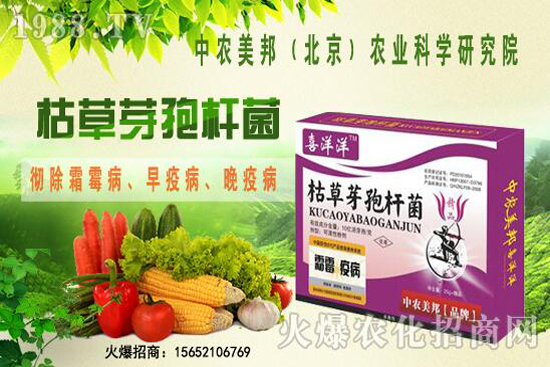 枯草芽孢桿菌治根腐病嗎，防治哪些土傳病害？防治對象有哪些？