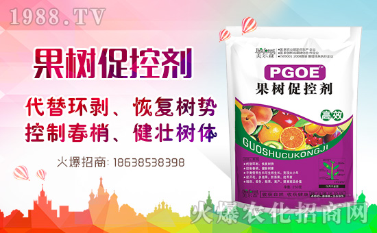 果樹巧用多效唑！效果翻倍沒問題！多效唑的作用與使用方法！