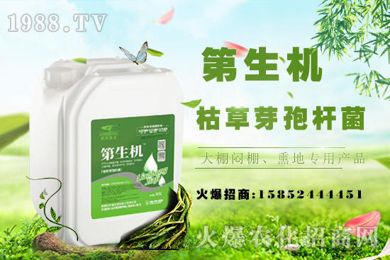 豆角只長蔓不開花啥原因？如何促花促莢提產(chǎn)量？