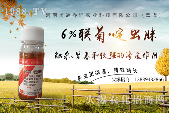 番茄白粉虱大爆發(fā)，防治難？“6%聯(lián)菊·啶蟲脒”卵蟲通殺，藥性強(qiáng)！