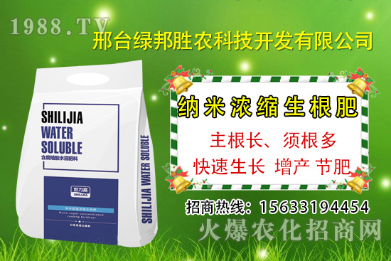 番茄死棵究竟哪些原因所致，如何預(yù)防番茄死棵發(fā)生？