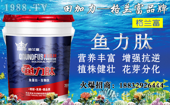 ���䌦(du��)�B(y��ng)���������c(di��n)����Щ������ʩ���`�^(q��)�����_ʩ�ʷ�����