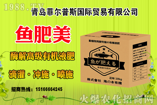 玉米結(jié)實(shí)不好啥原因？有法補(bǔ)救嗎？玉米結(jié)實(shí)不良改善措施！