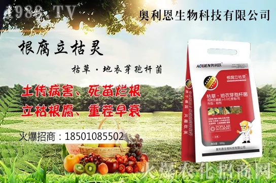 �S����ʲô����(ji��)���࣬�S���˷Nֲ������B��