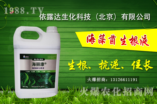 獼猴桃有哪些品種，獼猴桃和奇異果有什么區(qū)別？