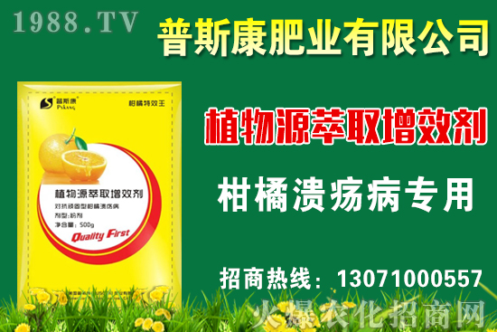 茭白無公害栽培技術要點，茭白采收標準及方法！