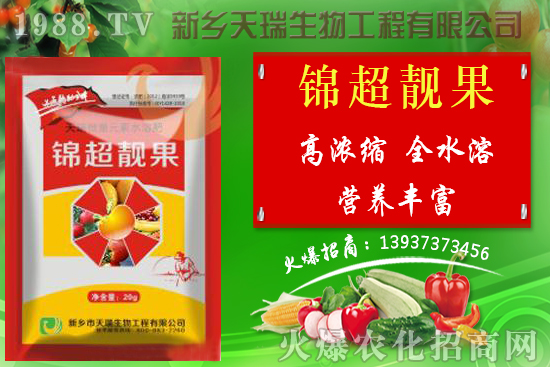 香菇栽培技術有哪些，秋季香菇管理要點詳解！